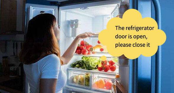 <b>MicroSound V15-Fridge Door Alarm</b>