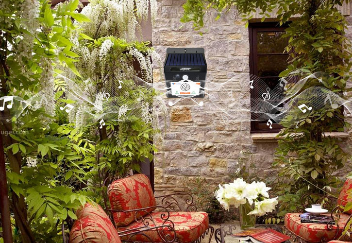 Cuckoo Singing Player