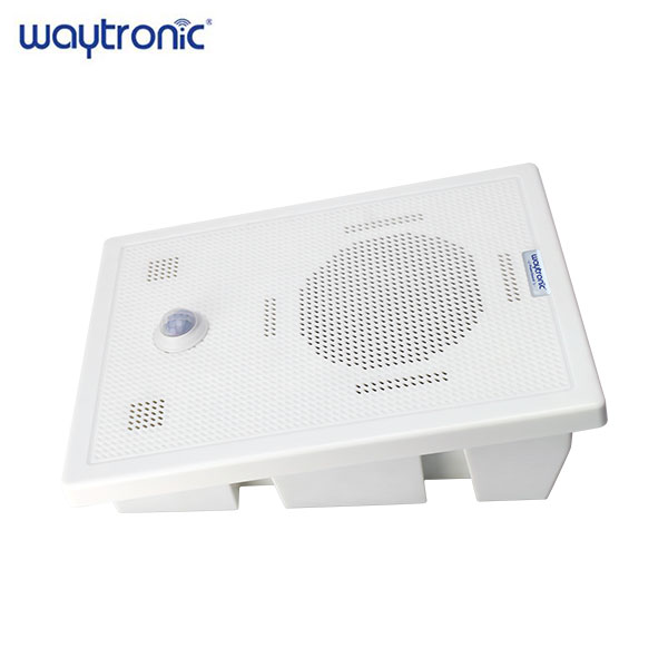 Bluetooth version high-power voice prompter