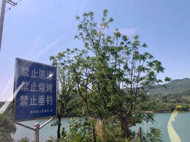 1607684474639507.jpeg 75e9090e3843412f8c80a40db0a36386.jpeg